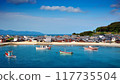 Seaside village scene 01 117735504