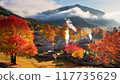 Village with beautiful autumn leaves 04 117735629