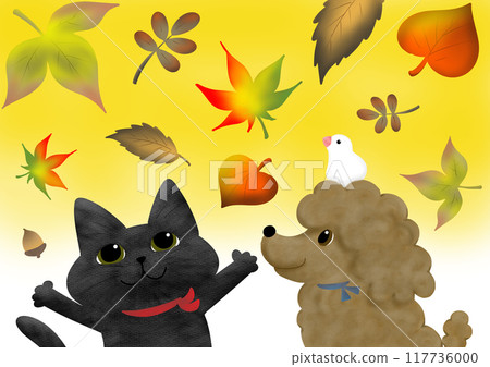 Cat, dog and Java sparrow looking up at autumn leaves_yellow Cat, dog and Java sparrow looking up at autumn leaves_yellow 117736000