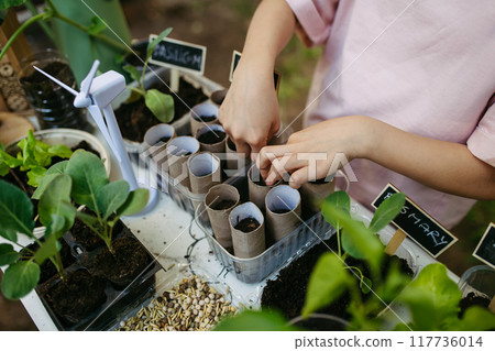 Students growing vegetable and herb seedlings. Outdoor sustainable education class in school garden. Concept of experiential learning and ecoliteracy. Students growing vegetable and herb seedlings. Outdoor sustainable education class in school garden. Concept of experiential learning and ecoliteracy. 117736014