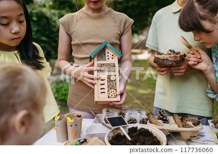Insect hotel as educational tool for children in outdoor sustainable educational class. Young students learning about insect and biodiversity. Insect hotel as educational tool for children in outdoor sustainable educational class. Young students learning about insect and biodiversity. 117736060