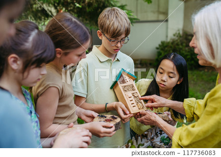 Insect hotel as educational tool for children in outdoor sustainable educational class. Young students learning about insect and biodiversity. 117736083