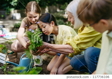 Young kids taking care of plants in school garden during at outdoor sustainable education class, planting flowers, herbs and vegetables. Concept of experiential learning and ecoliteracy. 117736106