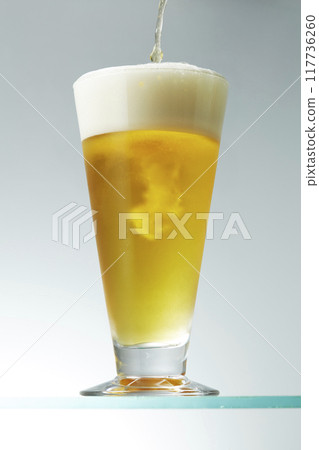 Beer 117736260