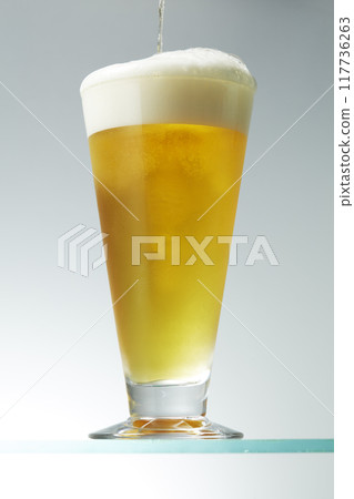 Beer Beer 117736263