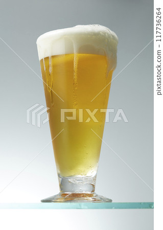 Beer Beer 117736264