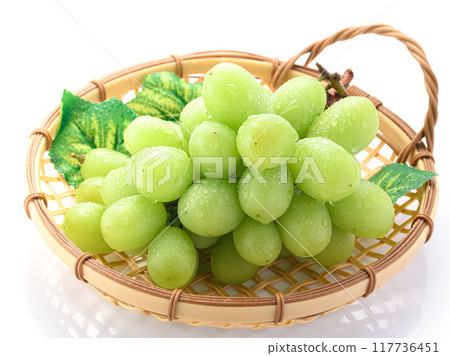 Large Shine Muscat grapes (white background) Large Shine Muscat grapes (white background) 117736451