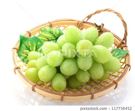 Large Shine Muscat grapes (white background) 117736452