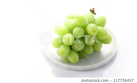Large Shine Muscat grapes (white background) Large Shine Muscat grapes (white background) 117736457