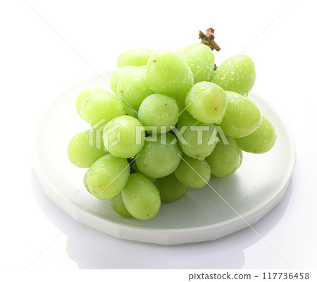 Large Shine Muscat grapes (white background) Large Shine Muscat grapes (white background) 117736458