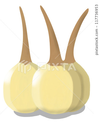 Kuwai Kuwai 117736953