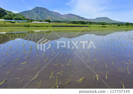Mount Aso seen from Ichinomiya Town Mount Aso seen from Ichinomiya Town 117737145
