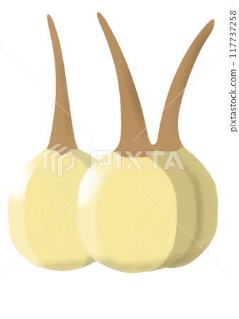 Kuwai Kuwai 117737258