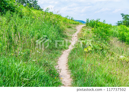 Hiking trail in the mountains (path image) 117737502
