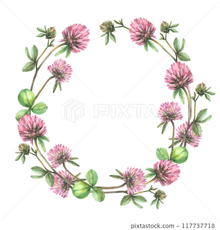 Clover pink flower with leaves, bud wreath. Watercolor painted illustration. Floral circle frame. Field wildflowers for botanical greeting card, label Blooming meadow clipart isolated from background  117737718