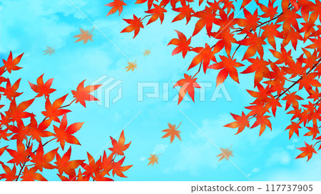 Autumn leaves Autumn scenery 16:9 Autumn leaves Autumn scenery 16:9 117737905