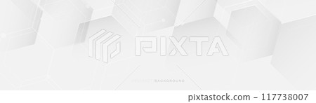 Abstract white and grey geometric hexagon geometric background. Minimal clean modern banner. Illustration vector Abstract white and grey geometric hexagon geometric background. Minimal clean modern banner. Illustration vector 117738007