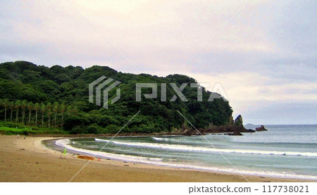 南伊豆弓濱海灘的夏末 南伊豆弓濱海灘的夏末 117738021