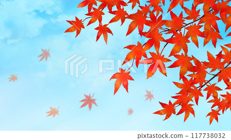 Autumn leaves Autumn scenery 16:9 117738032