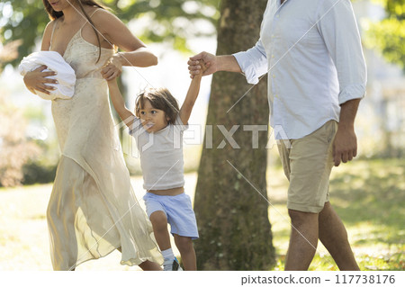Young family walking together in the park on a sunny day 117738176