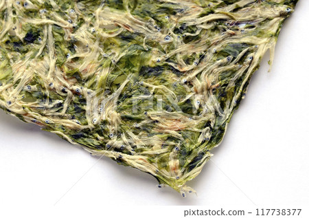 Tatami Watashi 117738377