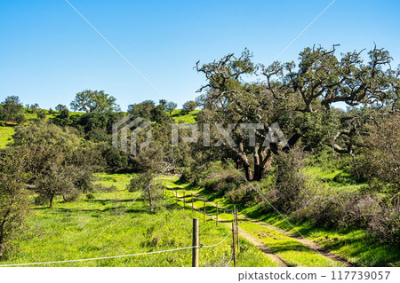Walking from Troviscais to the River Mira, Vicentine Coast Natural Park Portugal, Rota Vicentina Coast. Walking from Troviscais to the River Mira, Vicentine Coast Natural Park Portugal, Rota Vicentina Coast. 117739057