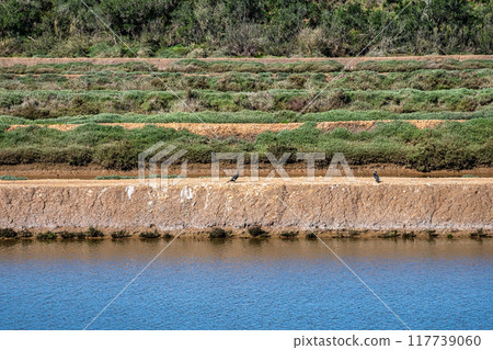 Walking from Troviscais to the River Mira, Vicentine Coast Natural Park Portugal, Rota Vicentina Coast. 117739060