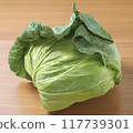 Fresh cabbage on the table 117739301