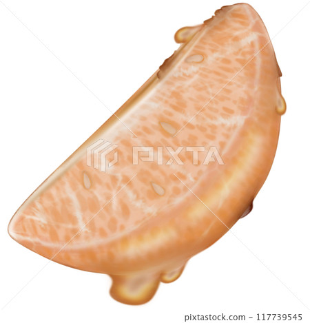 Orange tanghulu candied coating syrup of Chinese snacks fruits,Sweet dessert skewer hand drawn illustrations,Sweet Tang hulu snacks set 117739545