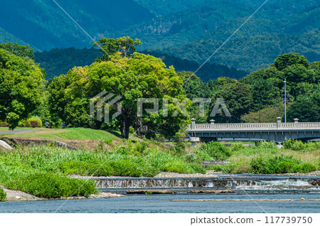盛夏的京都鴨川風景 117739750