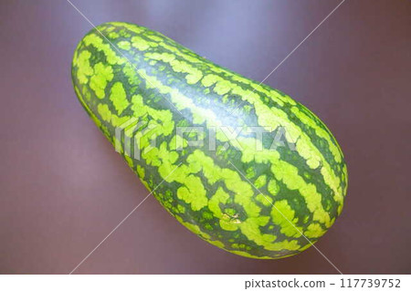 西瓜 西瓜 烏裡博 西瓜 西瓜 烏裡博 117739752