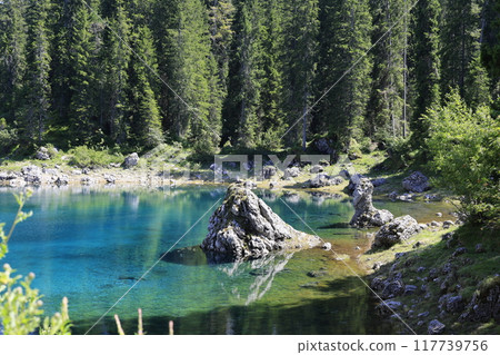 A Serene Lake, Majestically Surrounded by a Lush and Verdant Green Forest, Welcome to Tranquility 117739756