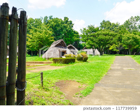 A pit dwelling during excavation (Otsuka Toshikado Ruins Park, Yokohama) 117739959