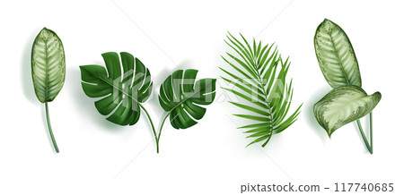 Realistic green tropical leaves 117740685