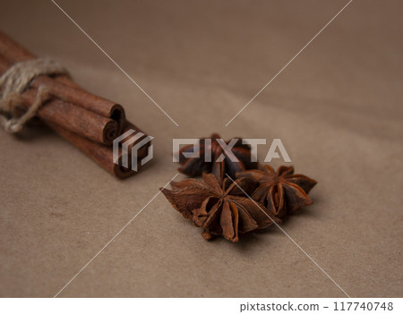 Cinnamon stick with star anis on the craft background 117740748