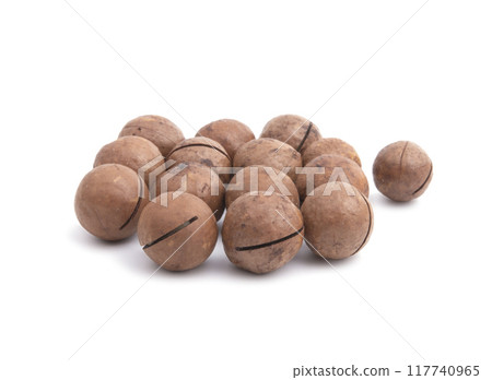 Macadamia nuts natural food isolated on the white Macadamia nuts natural food isolated on the white 117740965