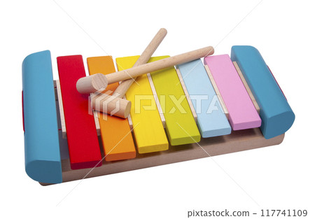 Multicolor xylophone for children wooden and bright isolated on the white Multicolor xylophone for children wooden and bright isolated on the white 117741109
