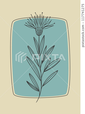 Cornflower blooming branch sketch illustration. Botanical art in engraving style. Greeting card and invitation design. Cornflower blooming branch sketch illustration. Botanical art in engraving style. Greeting card and invitation design. 117741275