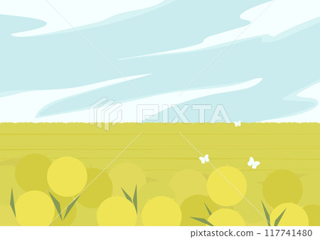 Rural landscape scene with dandelion meadow. Skyline with clouds. Alpine Field Rural landscape scene with dandelion meadow. Skyline with clouds. Alpine Field 117741480