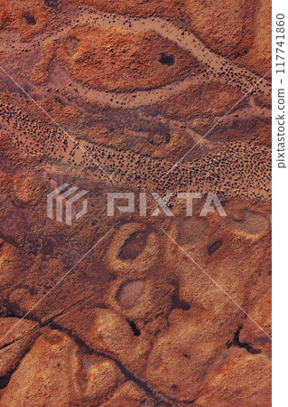 Flooded wetland landscape in sunny autumn afternoon, aerial shot from drone pov Flooded wetland landscape in sunny autumn afternoon, aerial shot from drone pov 117741860