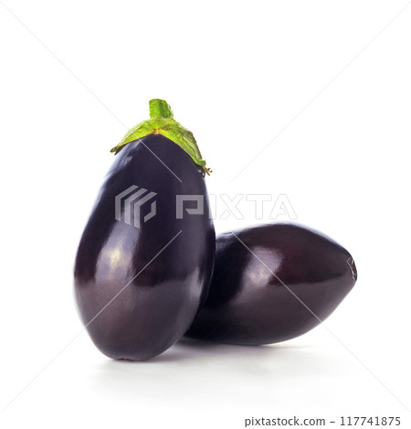 Eggplant or Aubergine on white background 117741875