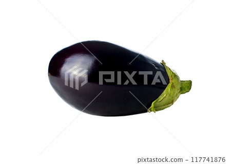 Eggplant or Aubergine on white background 117741876