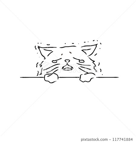 Crying and apologizing, sorry cat Crying and apologizing, sorry cat 117741884