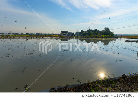 Balloon festival scenery shining in the morning sun (morning clouds and morning sun, photographed early in the morning) (rural area) Saga City, Saga Prefecture Balloon festival scenery shining in the morning sun (morning clouds and morning sun, photographed early in the morning) (rural area) Saga City, Saga Prefecture 117741903