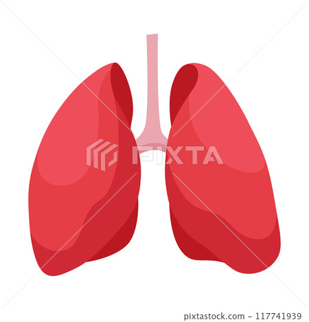 Internal human body organ - lungs, info poster. Medical anatomy infographic element. Medicine concept, healthcare. Vector illustration Internal human body organ - lungs, info poster. Medical anatomy infographic element. Medicine concept, healthcare. Vector illustration 117741939