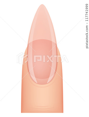 Nail shape manicure. Type of fingernail extension. Professional manicure template. Salon fashion type trend. Vector cartoon nail art on white background Nail shape manicure. Type of fingernail extension. Professional manicure template. Salon fashion type trend. Vector cartoon nail art on white background 117741999