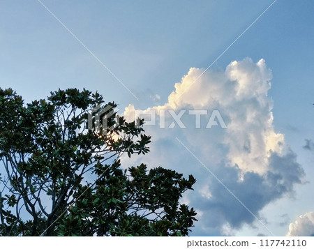 夏天的天空，公園的風景 117742110