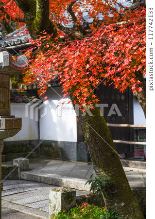 秋葉在日本 117742133