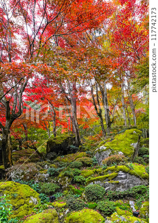 秋葉在日本 117742173