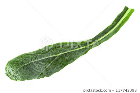 Fresh organic green kale leaves isolated over white background 117742398